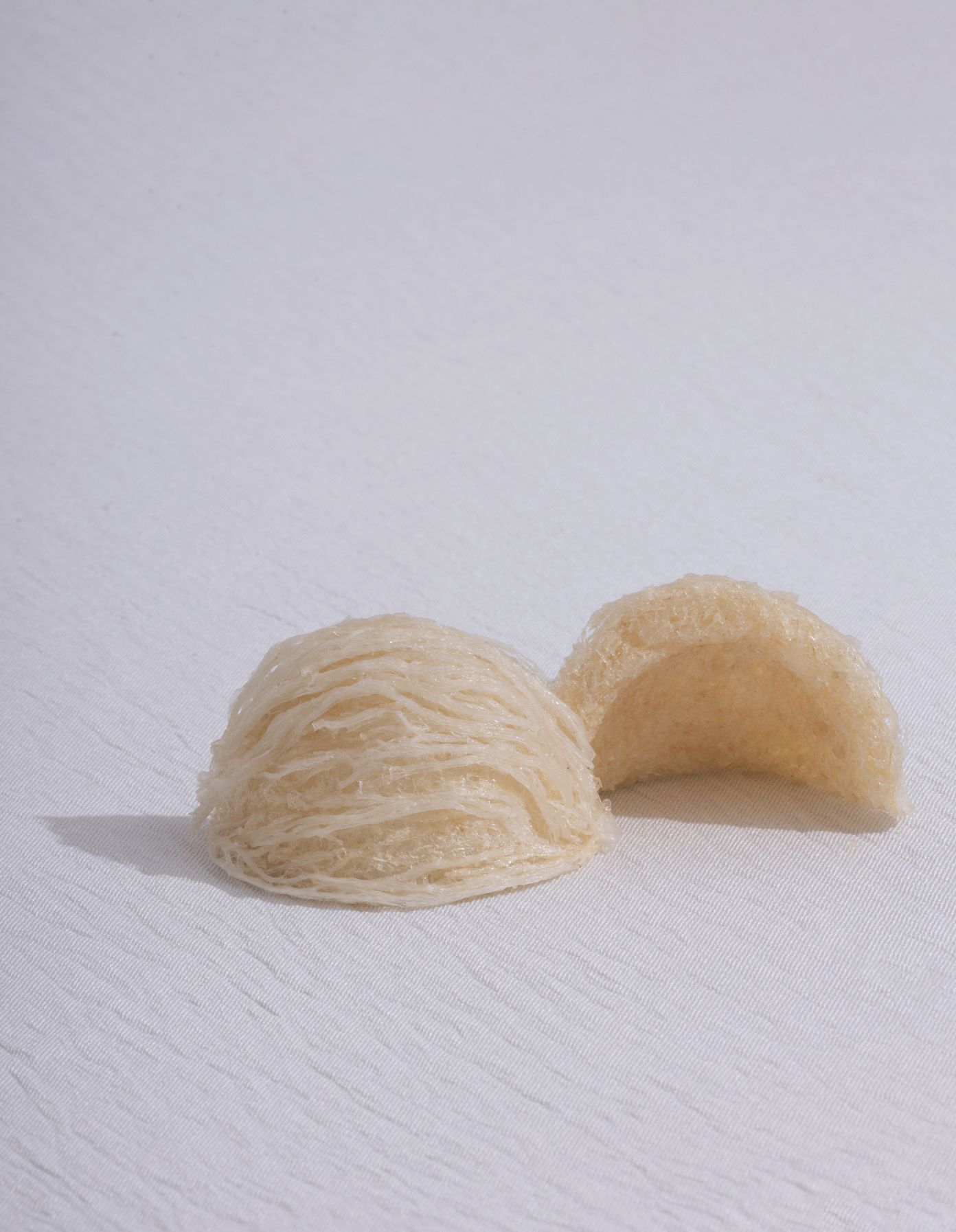 EaTrang-birdnest-tinh-che-soi2